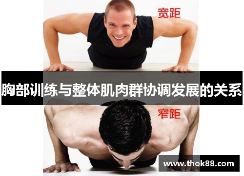胸部训练与整体肌肉群协调发展的关系